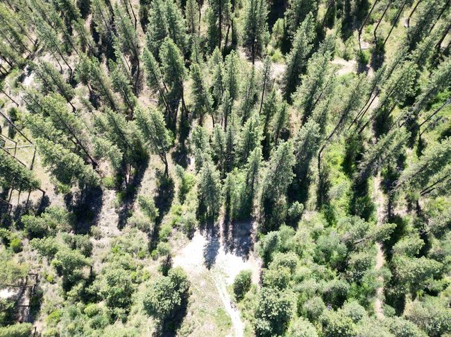 36 Meadow Lark Cir, Home with 0 bedrooms, 0 bathrooms and null parking in Idaho City ID | Image 29