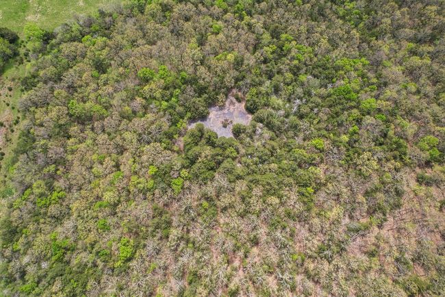 10535 N Highway 59, Home with 3 bedrooms, 1 bathrooms and null parking in Summers AR | Image 27