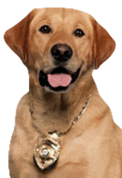 Wilson