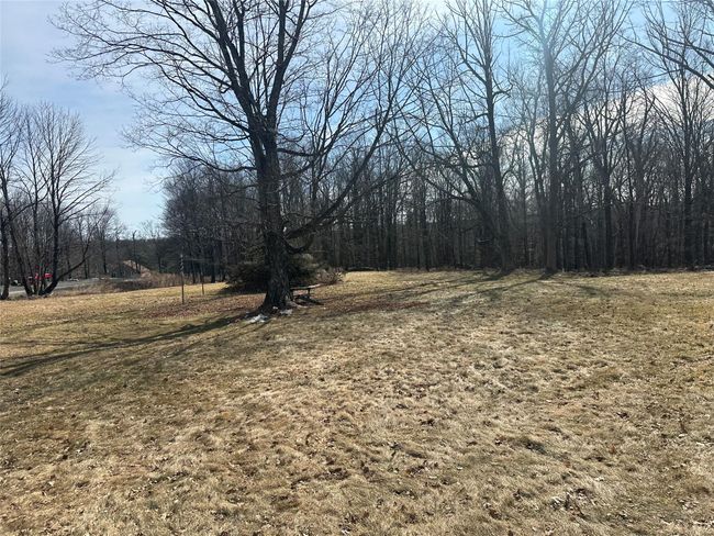 View of yard with a view of trees | Image 6
