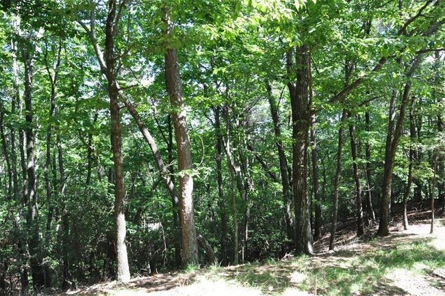 64 Wrens Nest, Home with 0 bedrooms, 0 bathrooms and null parking in Big Canoe GA | Image 13