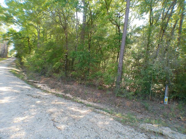 1725 - 00 Christian Life Rd, Home with 0 bedrooms, 0 bathrooms and null parking in Defuniak Springs FL | Image 9
