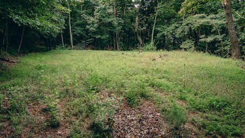 0 Crowell Gap Rd, Boones Mill, VA, 24065 | Card Image