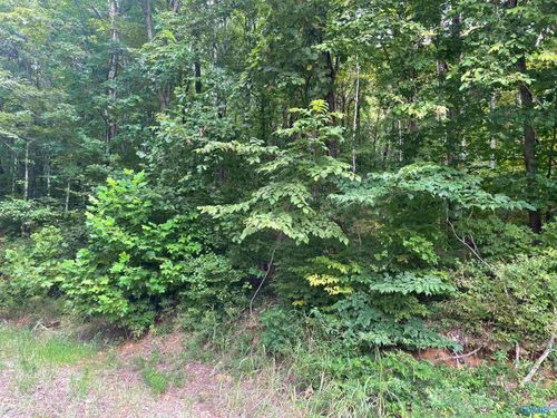 LOT 9 Ridge Trl, Gurley, AL, 35748 | Card Image