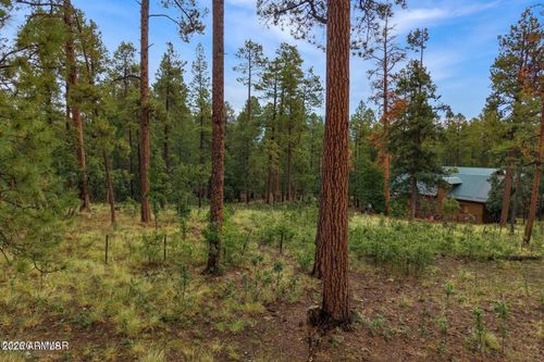 137-8 County Road 2070 --, Alpine, AZ, 85920 | Card Image