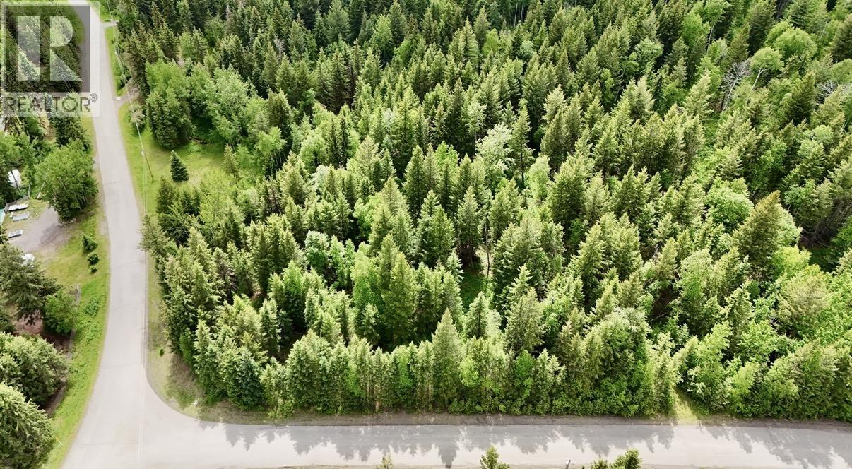 Land in Williams Lake 3