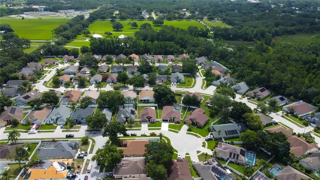 28826 Windover St, House other with 4 bedrooms, 2 bathrooms and null parking in WESLEY CHAPEL FL | Image 66