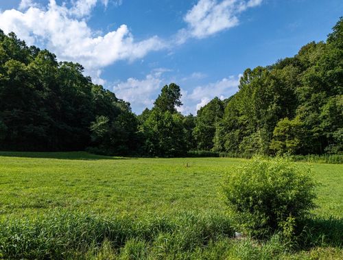 431 Big Elk Rd, Wallace, WV, 26448 | Card Image