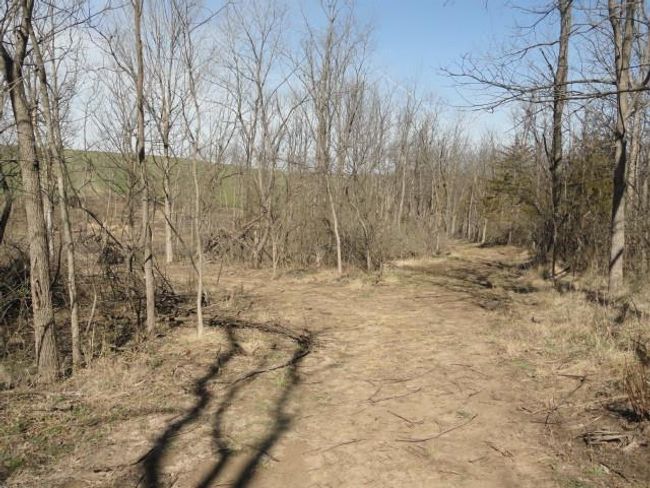 10.45 Acres Ringhand Rd, Home with 0 bedrooms, 0 bathrooms and null parking in SYLVESTER WI | Image 29