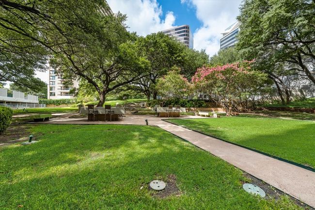 Common space features grills, seating, tons of trees, the pool/spa, and access to several other amenities like the dog park. | Image 23