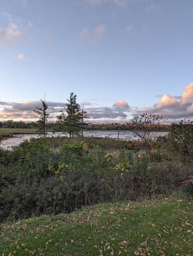 photo of the lake from backyard | Image 33