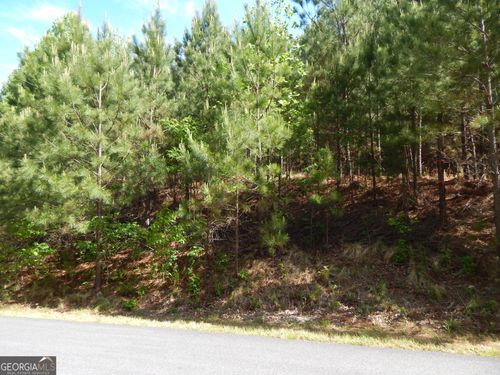 #361 The Cove At Thirteen Hundred, Young Harris, GA, 30582 | Card Image