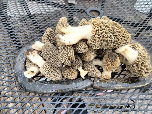 22847 74th Sw Street, Hinton, OK, 73047 | Card Image