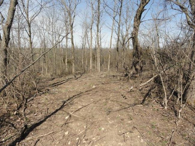 10.45 Acres Ringhand Rd, Home with 0 bedrooms, 0 bathrooms and null parking in SYLVESTER WI | Image 25