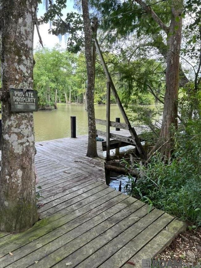 20401 Perrin Ferry Rd, Home with 0 bedrooms, 0 bathrooms and null parking in Springfield LA | Image 4