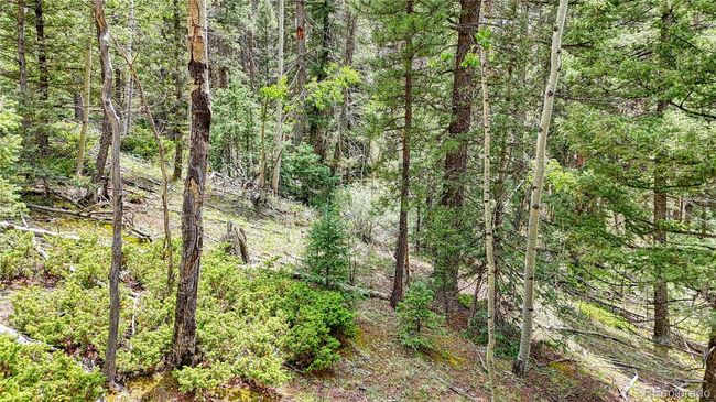 94 Mariposa Cir, Home with 0 bedrooms, 0 bathrooms and null parking in Cripple Creek CO | Image 11