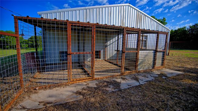 View of dog runs that go inside to kennels | Image 18