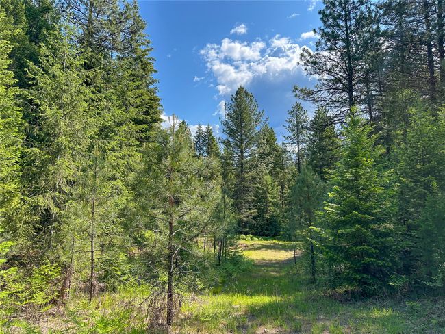 32 Whitepine Creek Rd, House other with 2 bedrooms, 2 bathrooms and null parking in Trout Creek MT | Image 66
