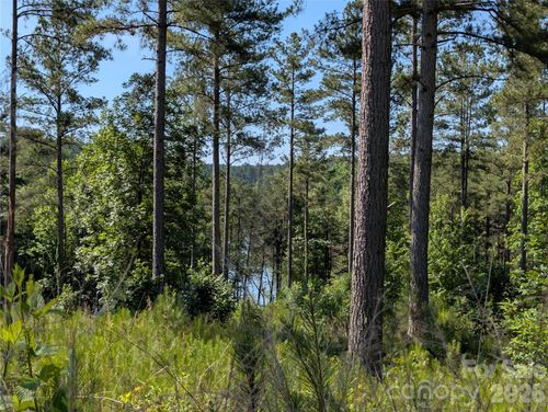 60-2134 Princeton Mountain Mountain, Connelly Springs, NC, 28612 | Card Image