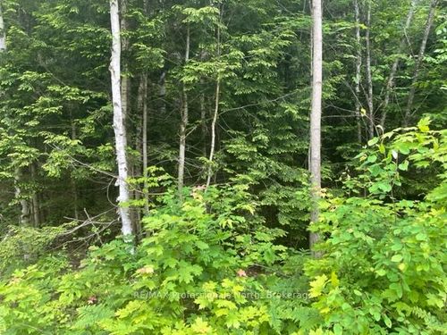0 Big Hawk Lake Rd, Algonquin Highlands, ON, K0M1S0 | Card Image