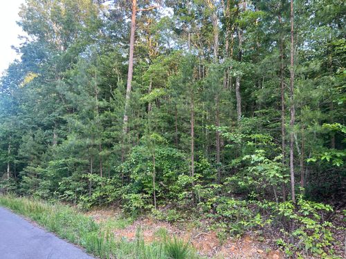 0 Wolanie Ln, South Pittsburg, TN, 37380 | Card Image