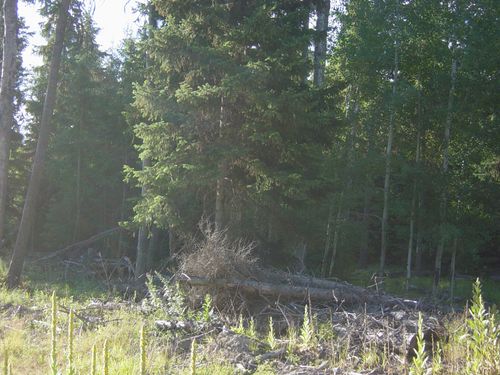 NHN Acm Rd S, Libby, MT, 59923 | Card Image