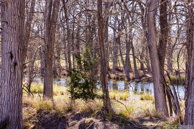 2350 Little Dry Frio Rd, Home with 0 bedrooms, 0 bathrooms and null parking in Rio Frio TX | Image 22