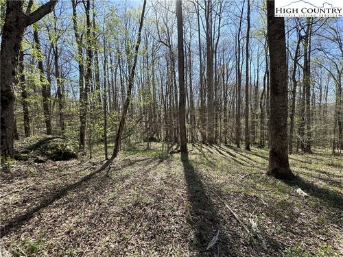 TBD Katie Lane, Bakersville, NC, 28705 | Card Image