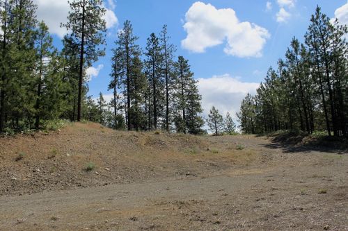 Flicker Lot 4 Sontag Ridge Dr, Davenport, WA, 99122 | Card Image