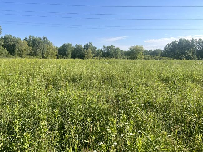 Open Fields | Image 37
