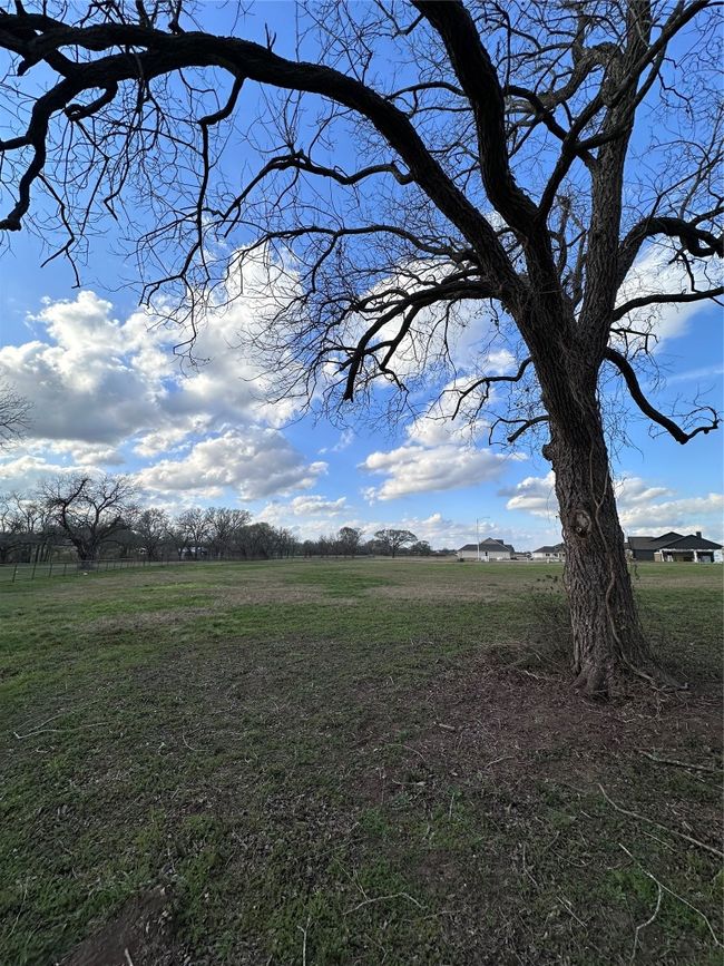 View of landscape with a rural view | Image 12