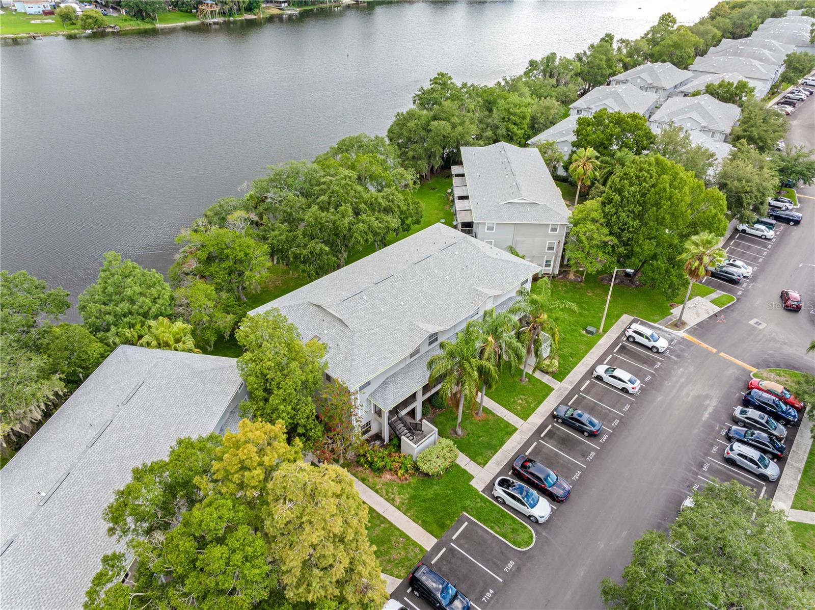 Residential Lease in TAMPA 5