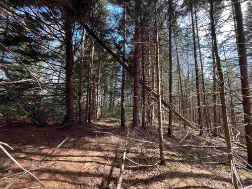 980 Coles Road, Westmore, VT, 05860 | Card Image