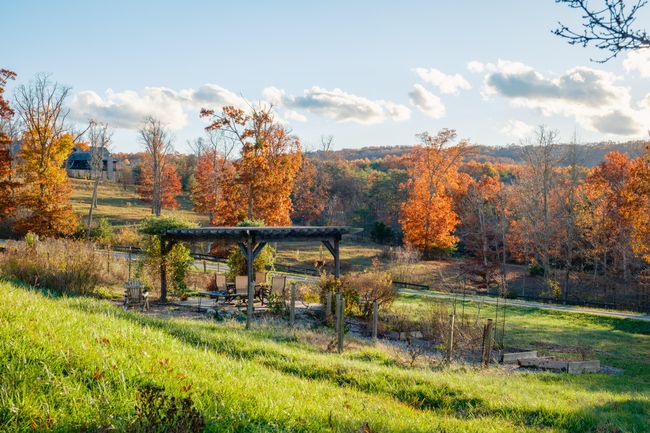 0 Long Branch Rd, Home with 0 bedrooms, 0 bathrooms and null parking in Rising Fawn GA | Image 36