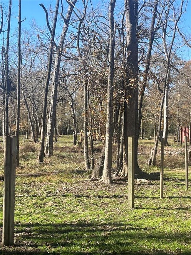 0 Mcgregor Rd, Home with 0 bedrooms, 0 bathrooms and null parking in Conroe TX | Image 9