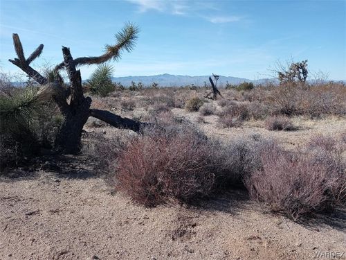 Par 439 Tom Mix Road, Yucca, AZ, 86438 | Card Image