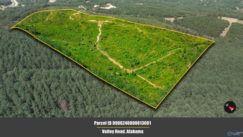 64 acres Bethel Rd, Valley Head, AL, 35989 | Card Image