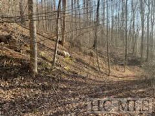 528 Early Deitz Rd, Home with 0 bedrooms, 0 bathrooms and null parking in Sylva NC | Image 4