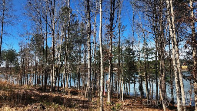 169 - 4083 Grays Peak Summit Summit, Home with 0 bedrooms, 0 bathrooms and null parking in Connelly Springs NC | Image 13