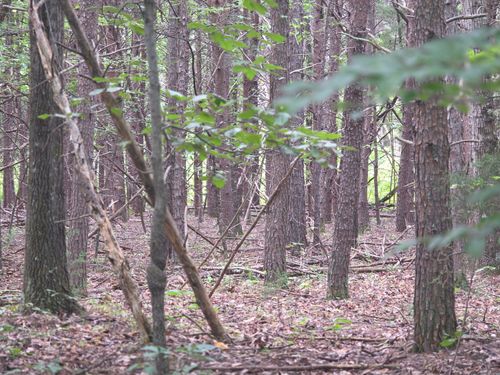 0 Woodland Forest Dr, Rocky Mount, VA, 24151 | Card Image