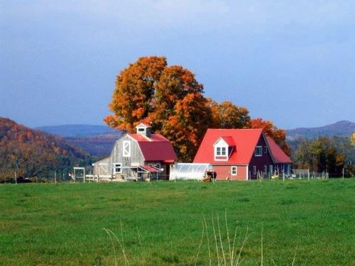 1126 Jefferson Hill Road, Newbury, VT, 05051 | Card Image