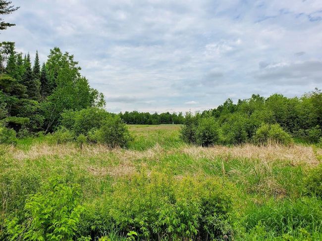 W12781 Rangeline Road, House other with 3 bedrooms, 1 bathrooms and null parking in ACKLEY WI | Image 38