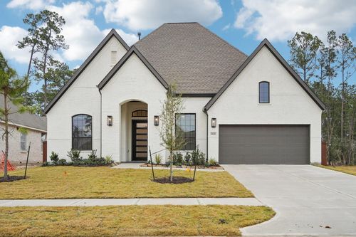 13091 Whitewater Way, Conroe, TX, 77302-0008 | Card Image