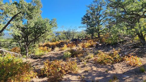 TBD L 42nd Trl, Cotopaxi, CO, 81223 | Card Image