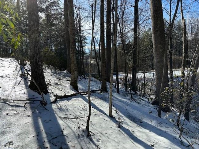 0 Old Railroad Grade Rd, Home with 0 bedrooms, 0 bathrooms and null parking in Thurmond NC | Image 13
