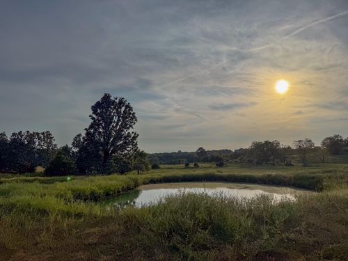 4420 State Route Dd, Willow Springs, MO, 65793-3438 | Card Image