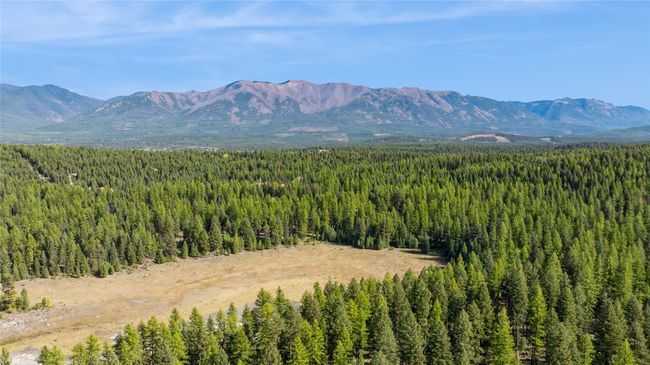 3217 Loon Lake Rd, Home with 0 bedrooms, 0 bathrooms and null parking in Trego MT | Image 33
