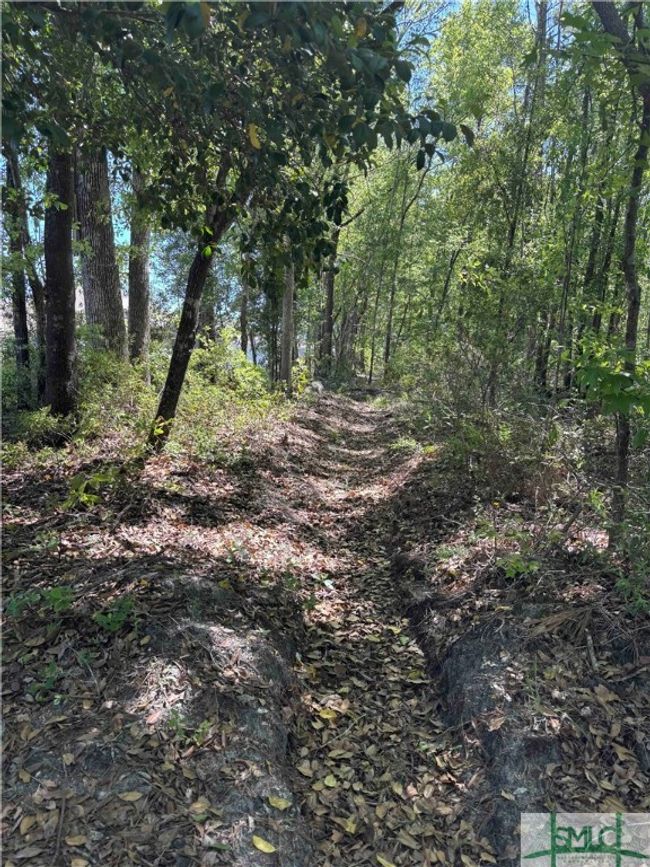 0 Stillwell Rd, Home with 0 bedrooms, 0 bathrooms and null parking in Springfield GA | Image 11