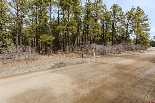 25 Woodland Dr, Pagosa Springs, CO, 81147-8892 | Card Image