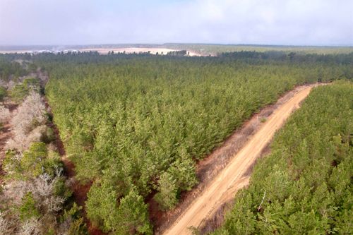 25.93Acres-4567 Dunham Rd, Bethune, SC, 29009 | Card Image